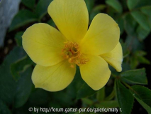 Avatarcomp_Säml2010,kinder 098.jpg