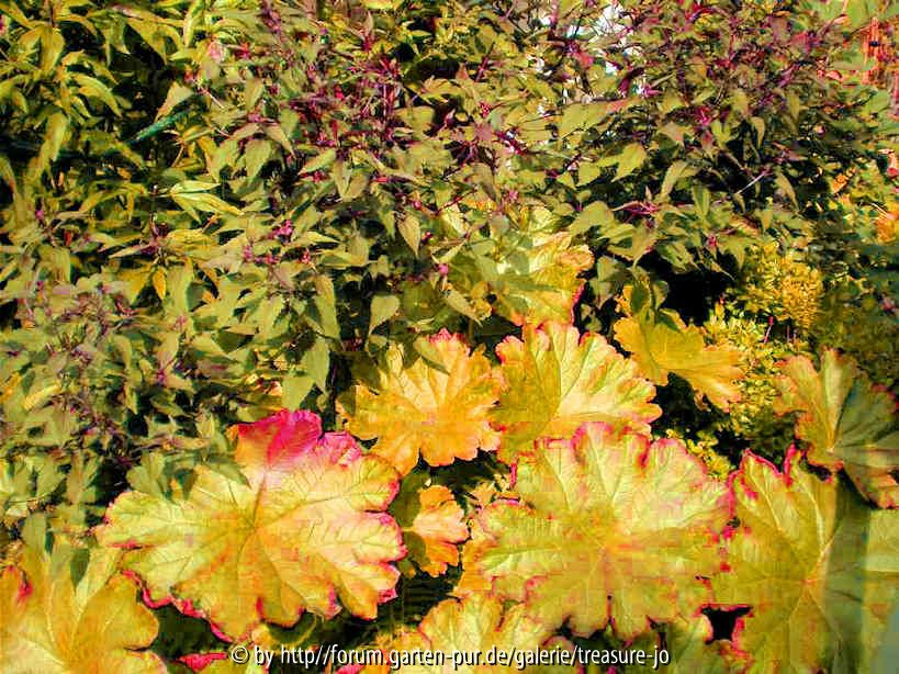Herbst
