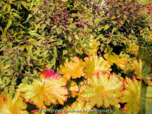 Herbst