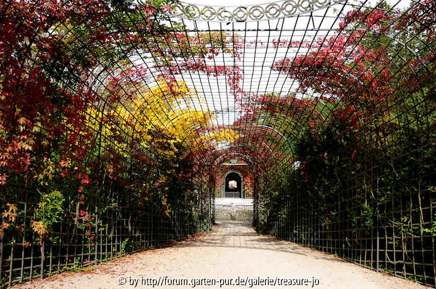 Pergola sep2
