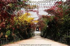 Pergola sep2