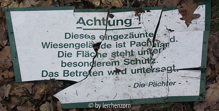netter Versuch