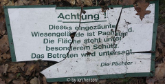 netter Versuch