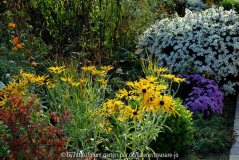 Herbst gelb 2