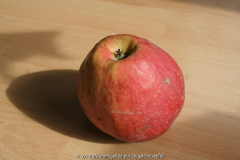 Obstbestimmung Aepfeli