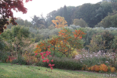 Südbeet Herbst