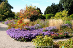 Hermannshof 20101006