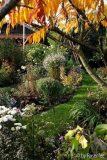 Herbstbeet