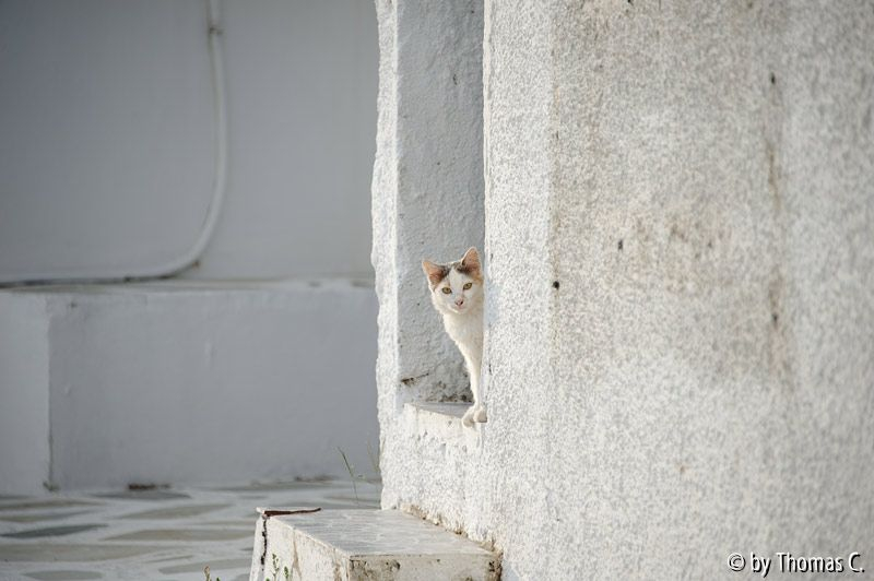Serifos 07
