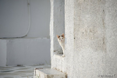 Serifos 07