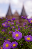 holstentor_blueht_2.jpg