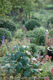 Buchsbaumbeet und Stuhl