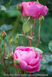 John Clare