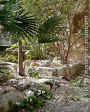 garten3.jpg