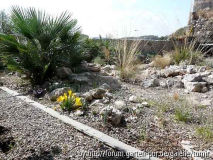 garten2.jpg