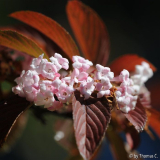 Herbstfarben 02