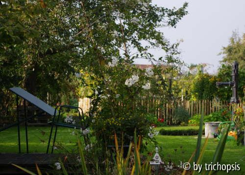 Gartenblick
