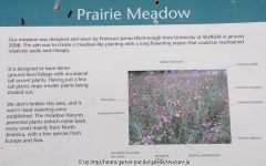 Prairie Meadow 2