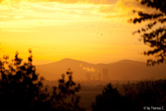 Siebengebirge am Oktobermorgen 1