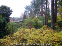 Herbst