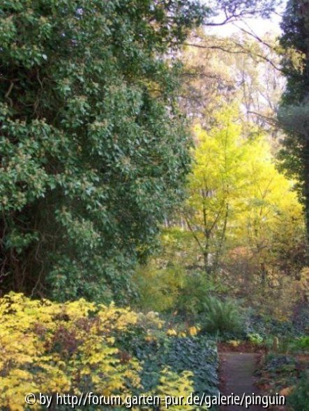 Herbstfarben