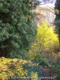 Herbstfarben
