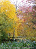 Herbstblick