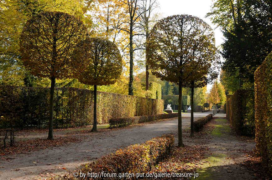 Schwetzingen 2
