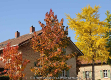 3 Herbstfärber 2010