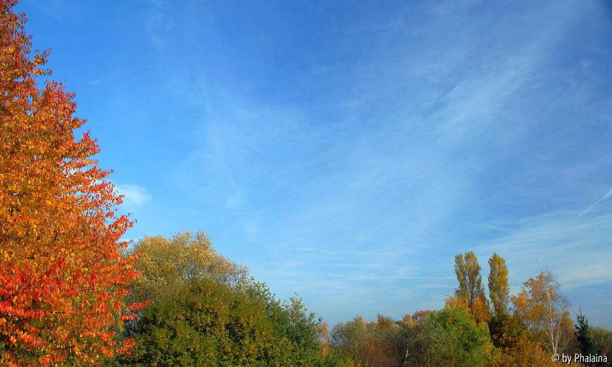 Novembersonne