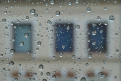 regen.jpg