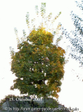 a4.jpg