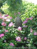 E2010_privat_58.jpg