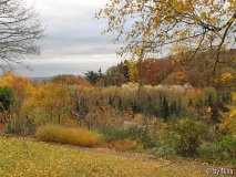 Blick in Richtung Siebengebirge November