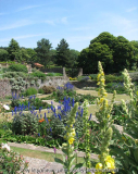 E2010_hestercombe_60.jpg