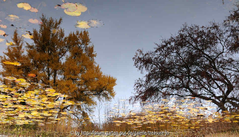 Herbstspiegelung 1