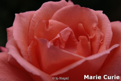 Image00001.jpg