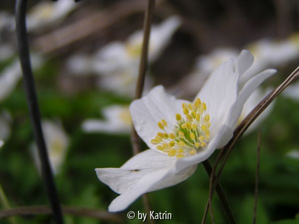 April