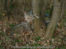 Fahrrad