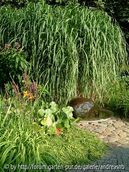 Becken-4