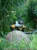 Becken-2