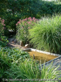 Becken-1
