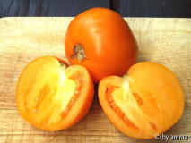 Tomate Valencia