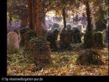 wien zentralfriedhof
