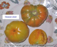 Oaxacan Jewel