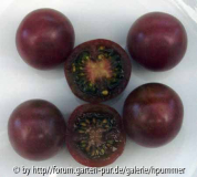 Black Cherry
