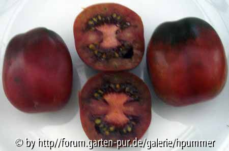 Black Plum