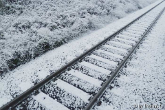 Bahn 1