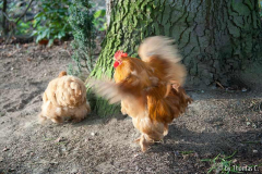 Spätnovemberausgang 2