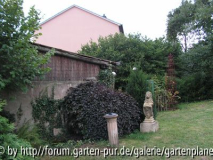 62 Blick-auf-Scheune-Aug.jpg